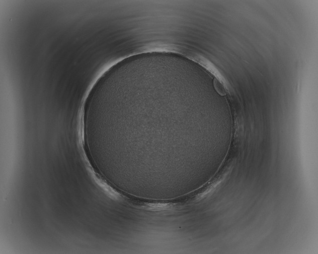 X0000112151132200908211408