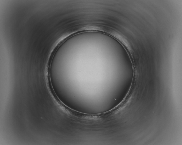 X0000112151133200908211408