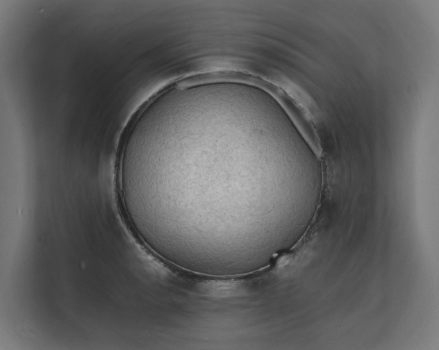 X0000112151134200908211408