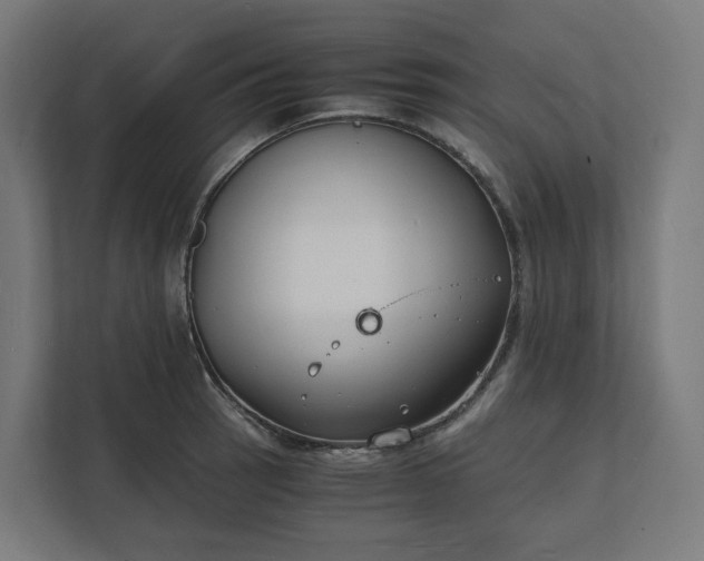 X0000112151137200908211408