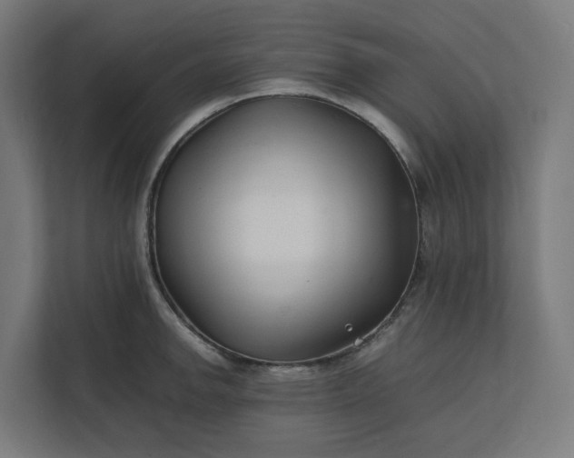 X0000112151142200908211409