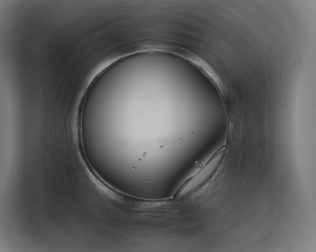 X0000112151143200908211409