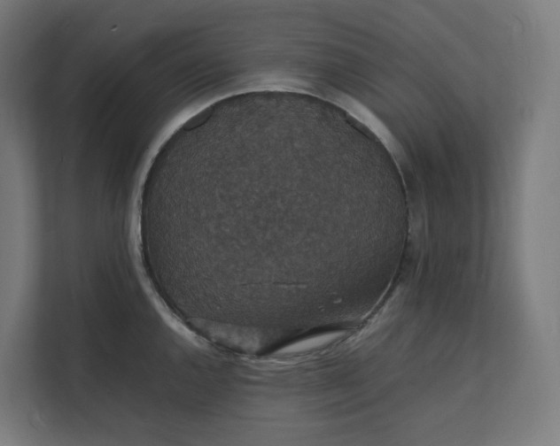 X0000112151144200908211409
