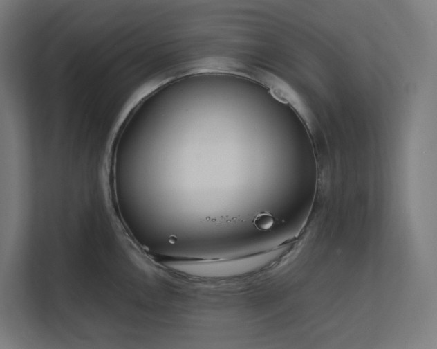 X0000112151146200908211409