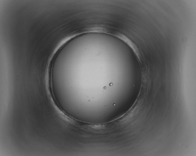 X0000112151147200908211409