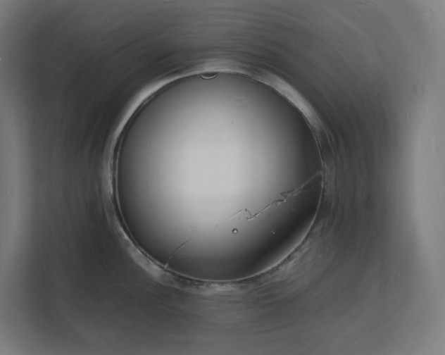 X0000112151148200908211409