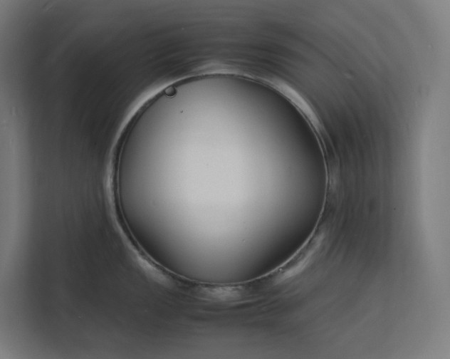 X0000112151149200908211409