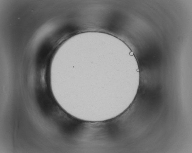 X0000112151150200908211409