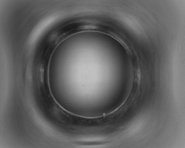 X0000112151151200908211409