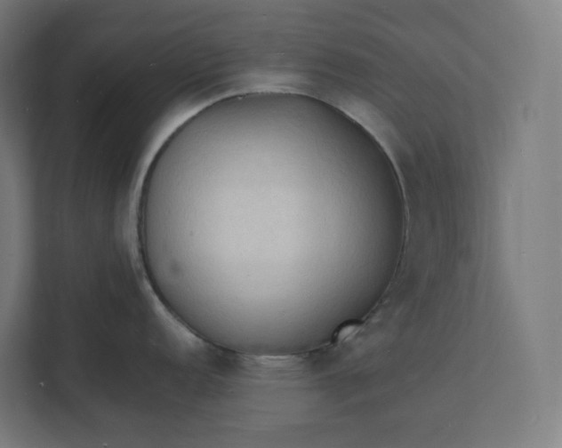 X0000112151152200908211409