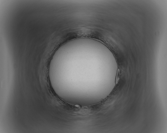 X0000112151153200908211408