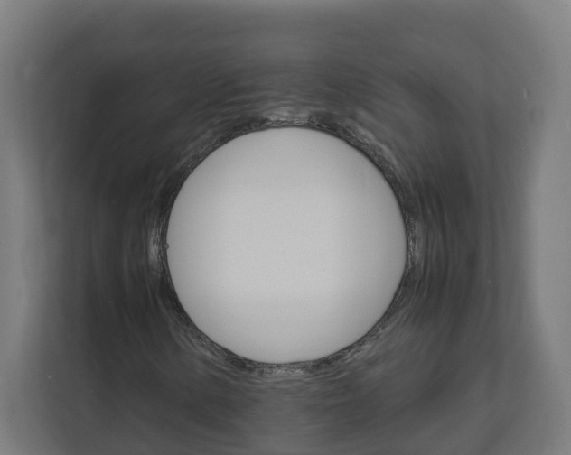 X0000112151154200908211408
