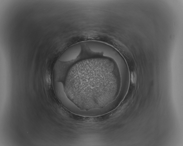 X0000112151155200908211408