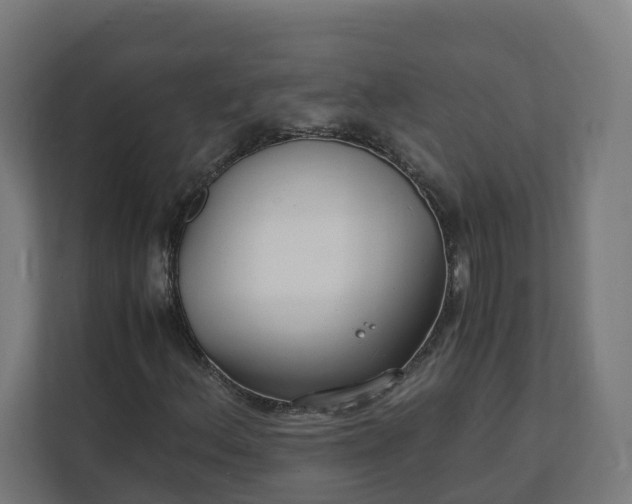 X0000112151156200908211408