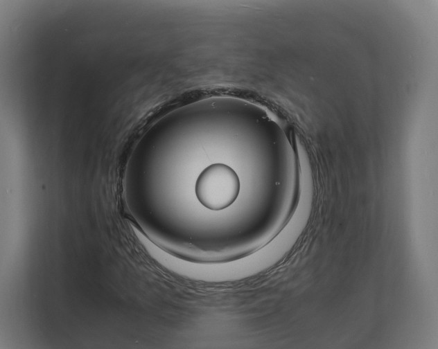 X0000112151157200908211408