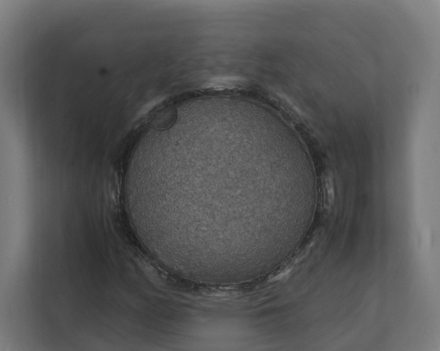 X0000112151158200908211408