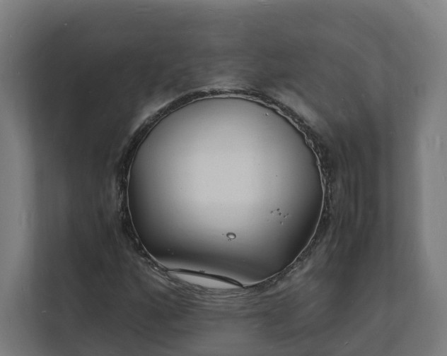 X0000112151160200908211408
