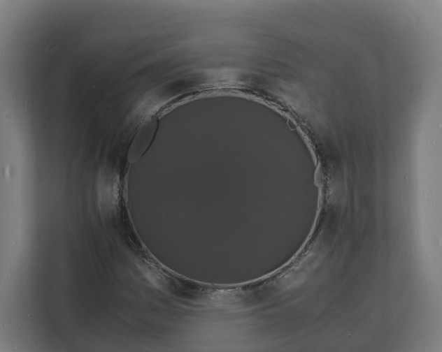 X0000112151161200908211408