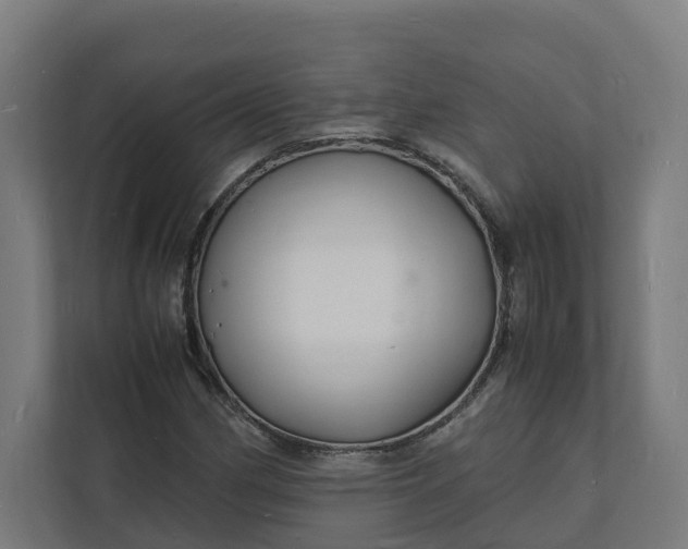 X0000112151162200908211408