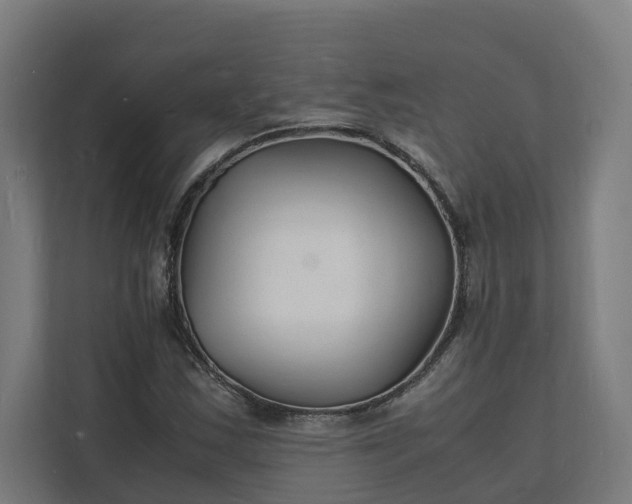 X0000112151163200908211408