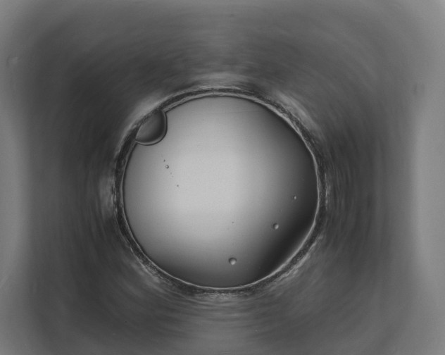 X0000112151164200908211408