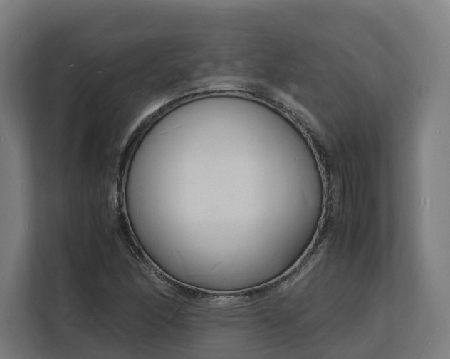 X0000112151166200908211408