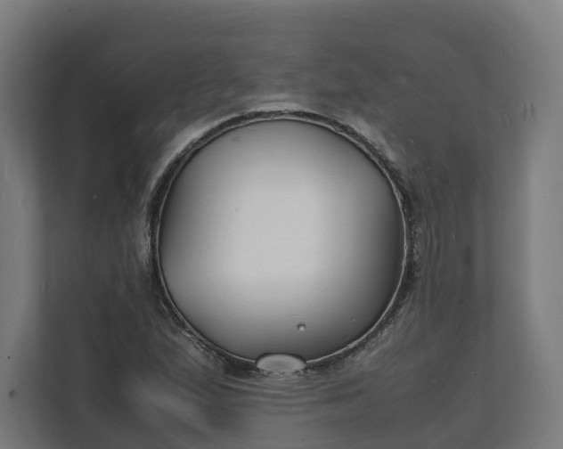 X0000112151167200908211408