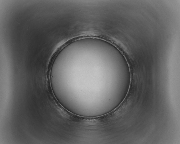 X0000112151168200908211408