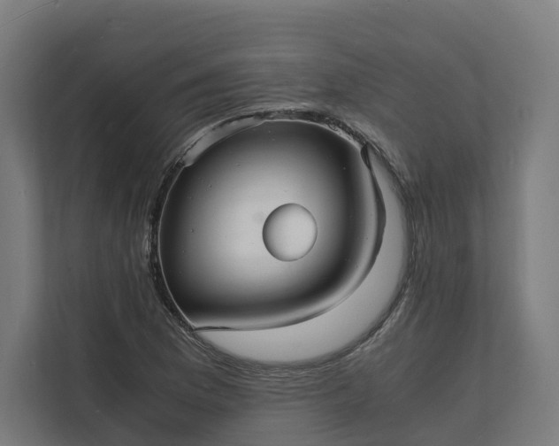 X0000112151169200908211408