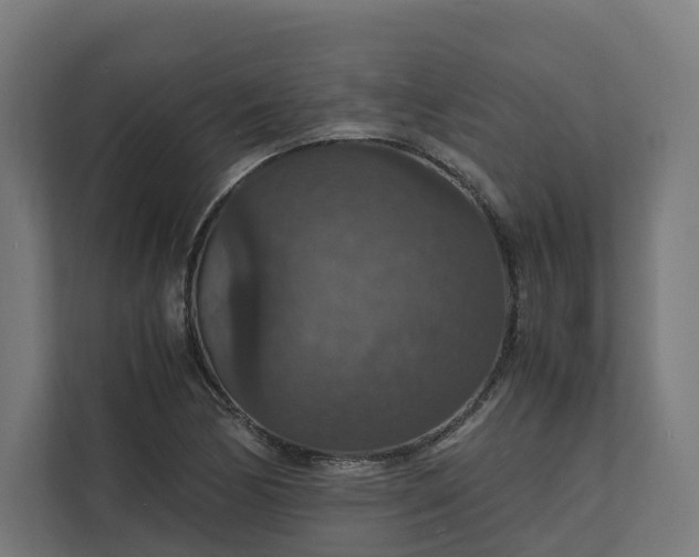 X0000112151170200908211408