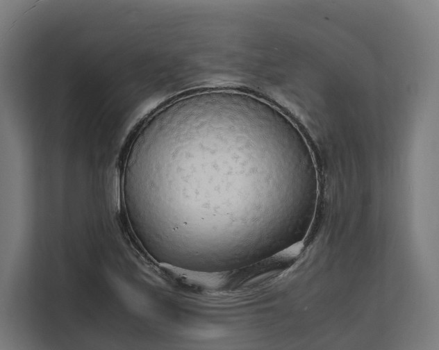 X0000112151171200908211408
