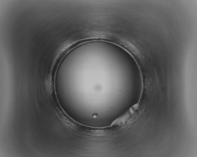 X0000112151172200908211408