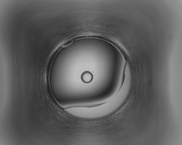 X0000112151173200908211408