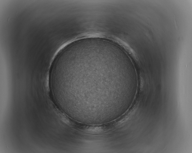 X0000112151174200908211408