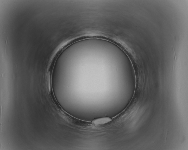 X0000112151175200908211408