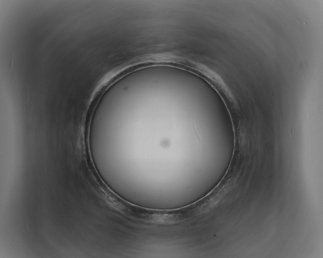 X0000112151176200908211408