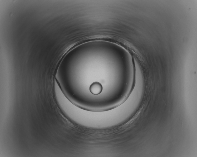 X0000112151177200908211408