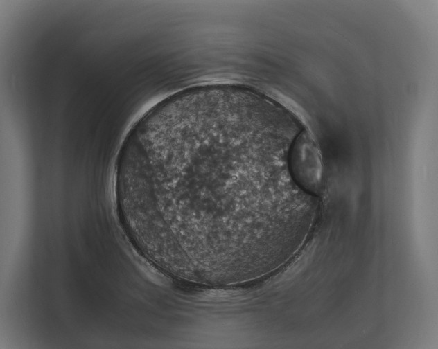X0000112151179200908211408