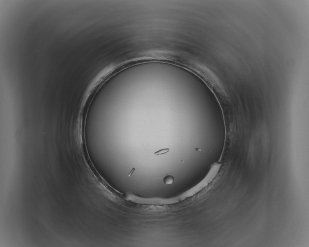 X0000112151180200908211408