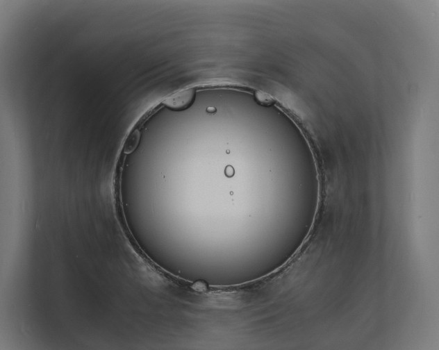X0000112151181200908211408