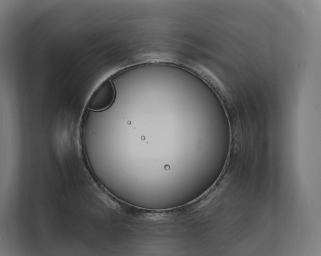 X0000112151182200908211408