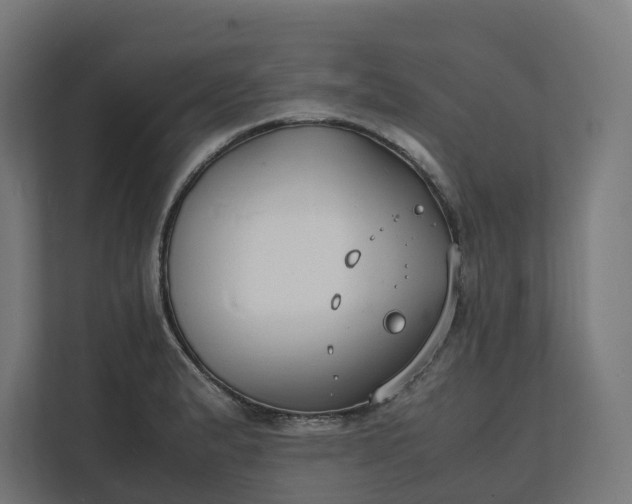 X0000112151183200908211408