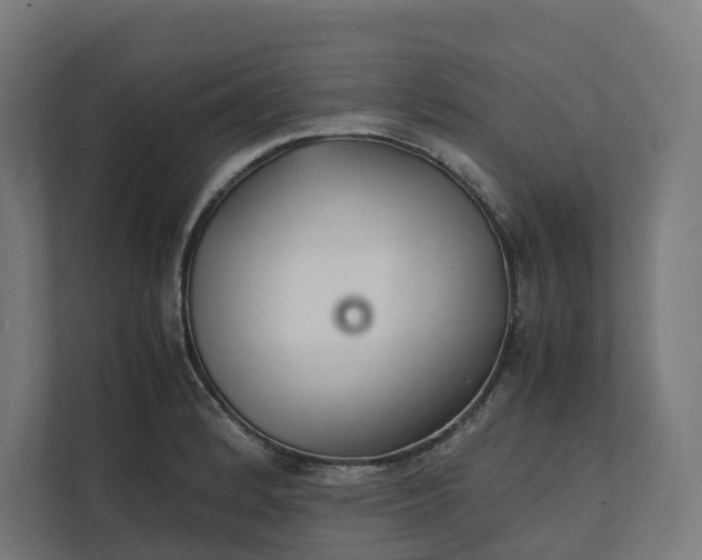 X0000112151184200908211408