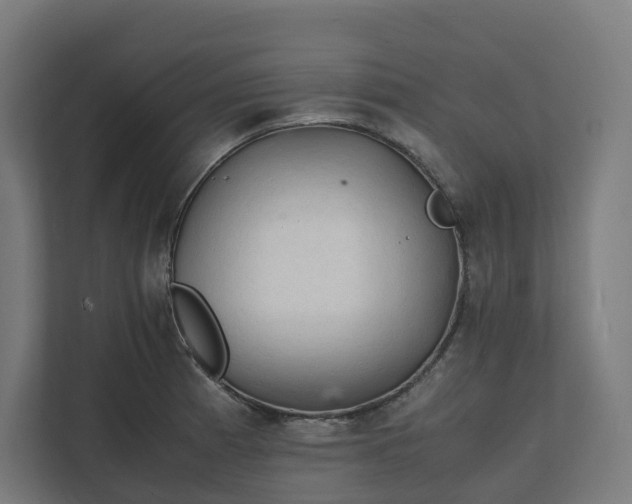 X0000112151185200908211408
