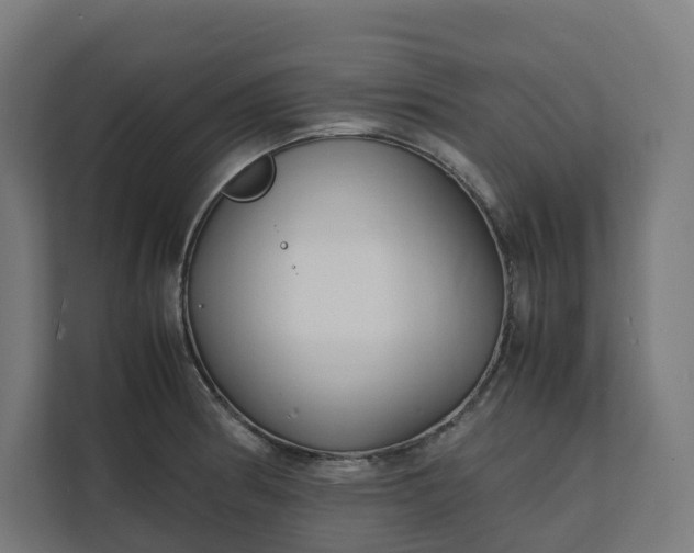 X0000112151186200908211407