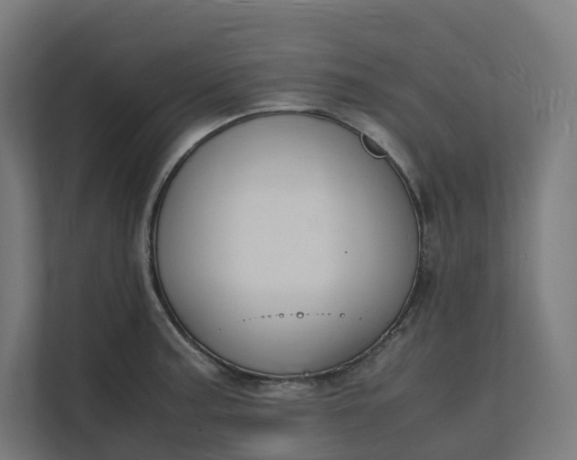 X0000112151187200908211407