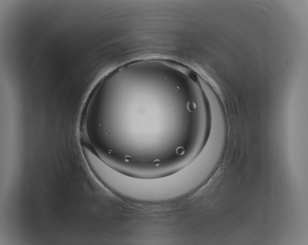 X0000112151189200908211407