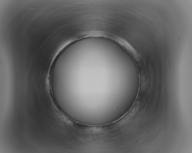 X0000112151190200908211407