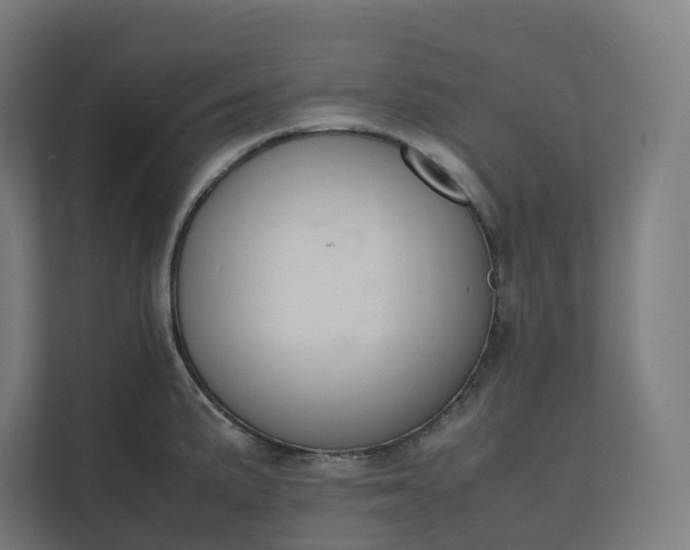 X0000112151191200908211407