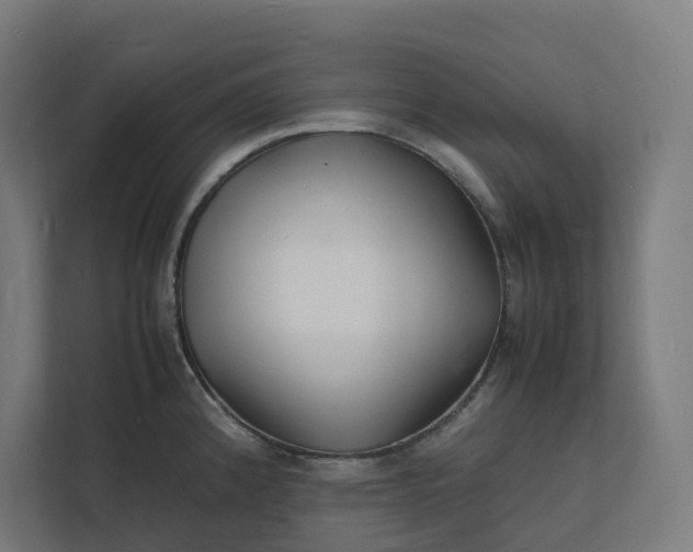 X0000112151192200908211407